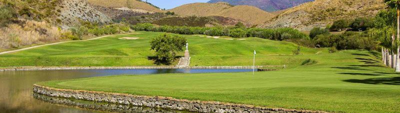 Alferini Golf