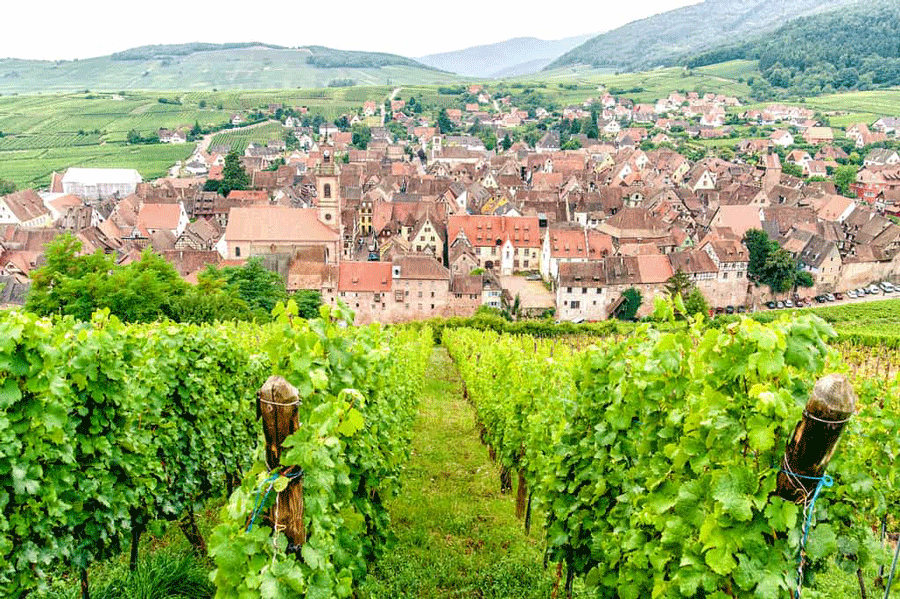 Alsace, Pháp