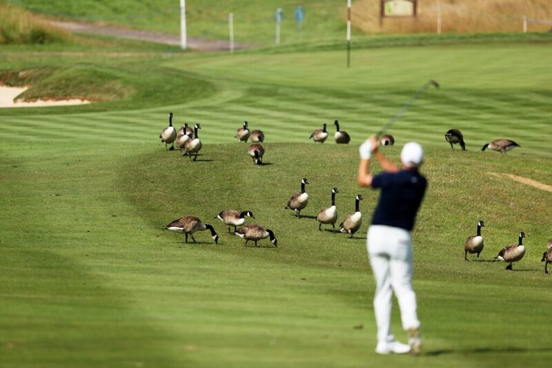 Đánh bóng golf lên fairway