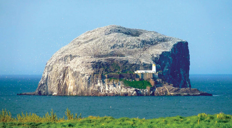 Bass Rock