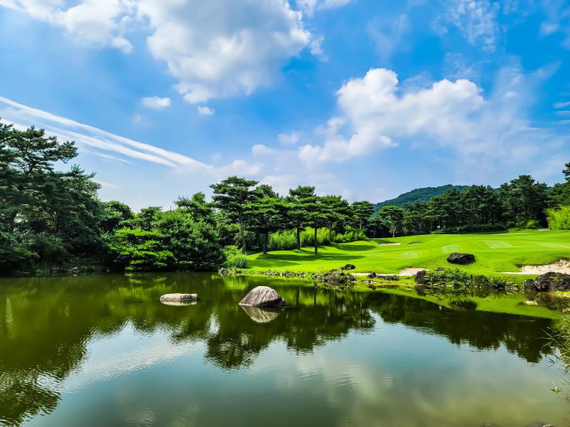 Blue Heron Golf Club