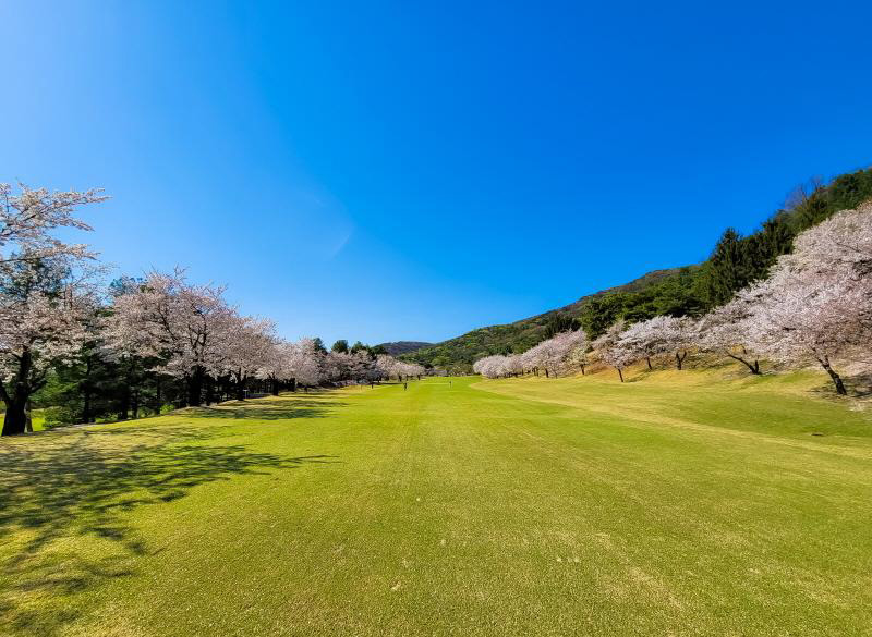 Blue Heron Golf Club
