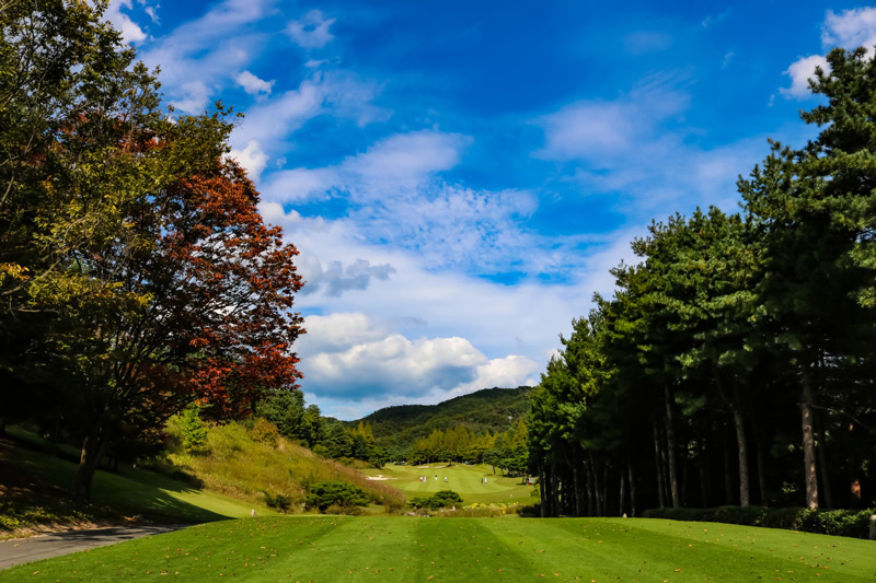 Blue Heron Golf Club