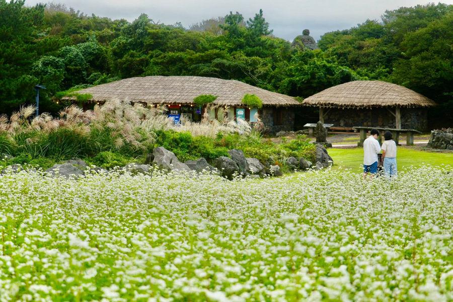 Du lịch Jeju