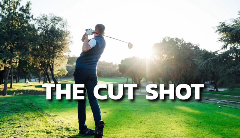 Cut shot golf