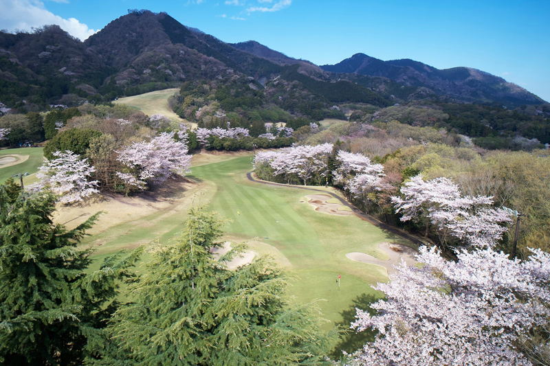 Daiatsugi Country Club