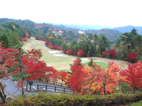 Daiju Asahi Golf Club