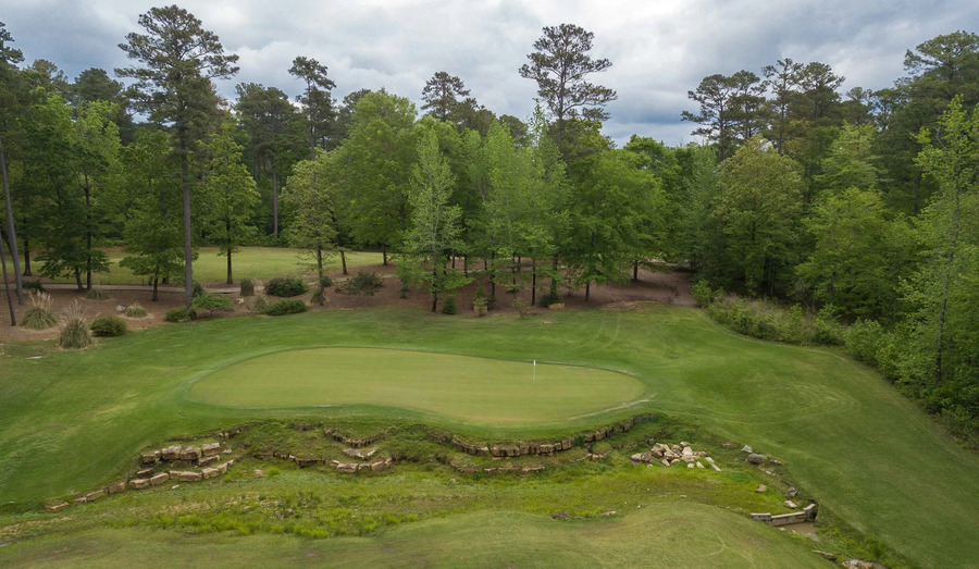 Dancing Rabbit (Azaleas)