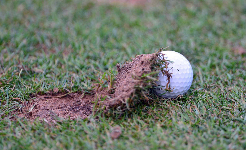 Vết divot