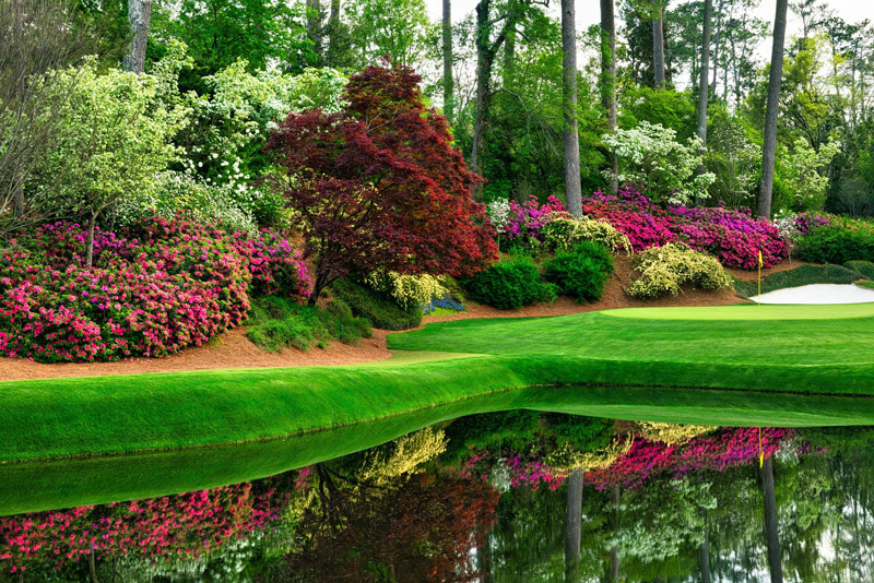 Tên hố golf được đặt theo tên loài hoa