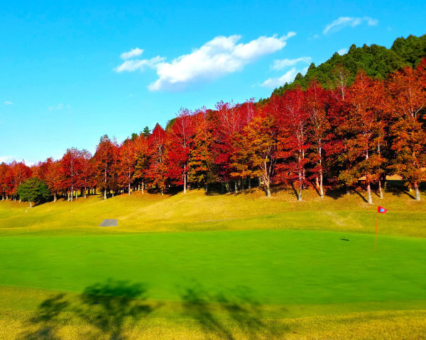 Kisarazu East G.C Club