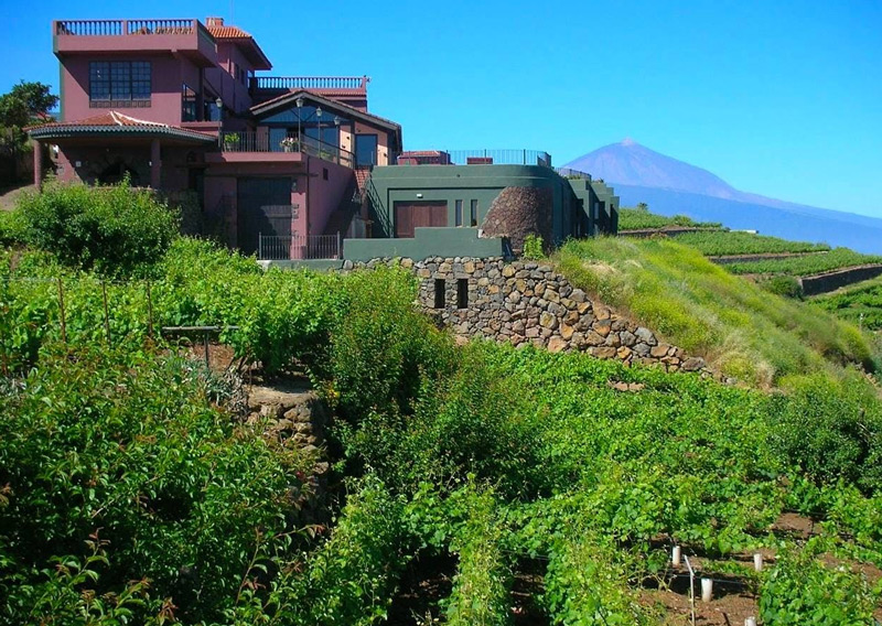 Nhà máy rượu Monje