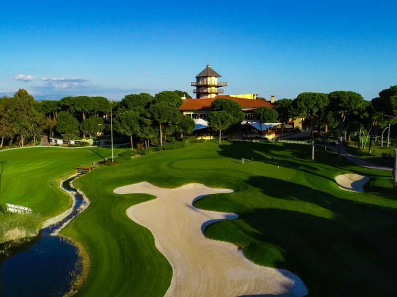 Montgomerie Maxx Royal