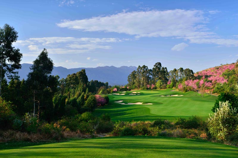 Mountainview course