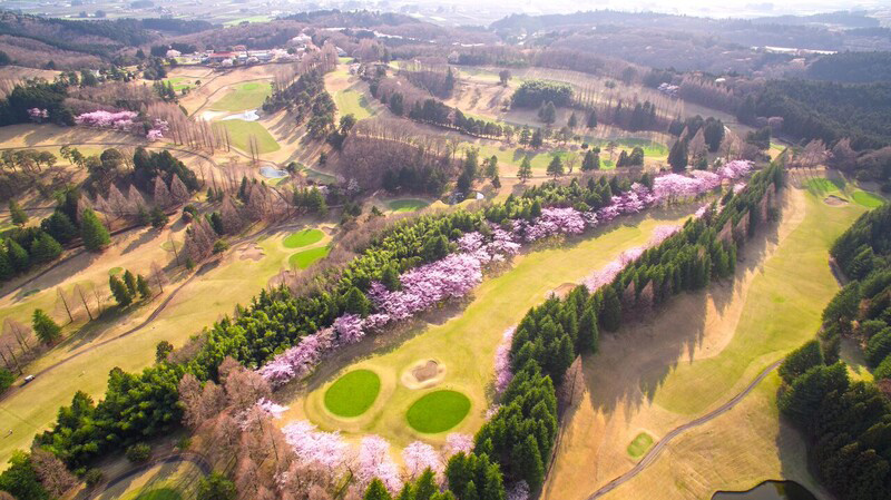 Murasakizuka Golf Club