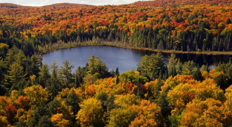 Muskoka