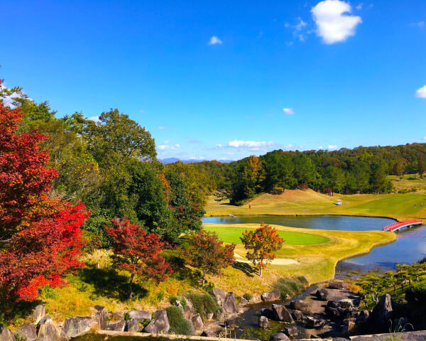 Ono Grand G.C Club