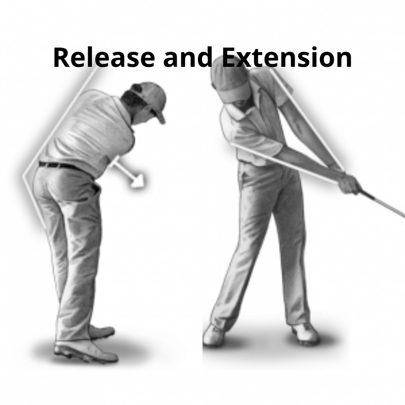 Release & Extension – Giải phóng lực và mở rộng cú đánh