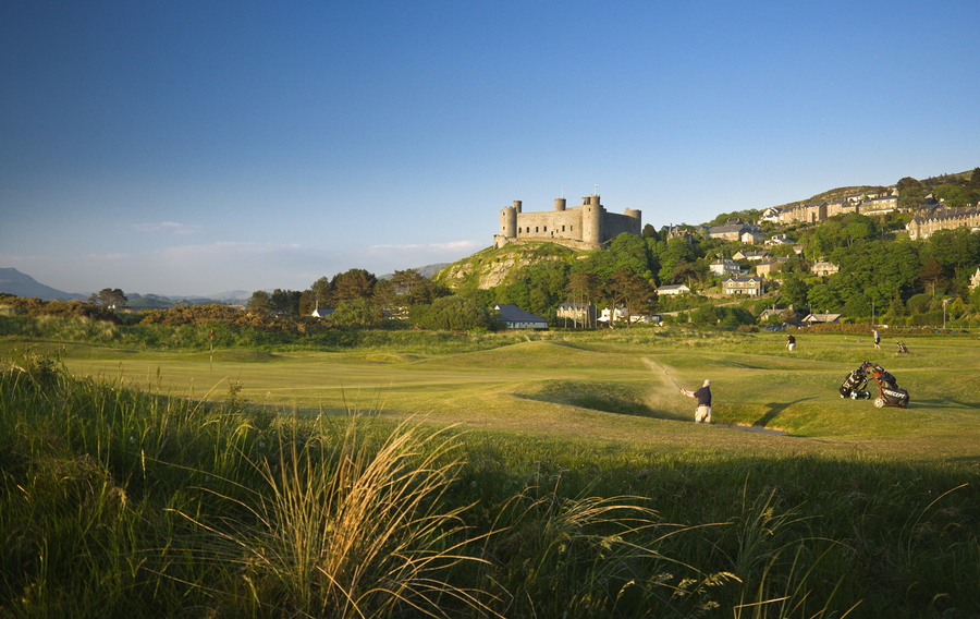 Royal St David’s