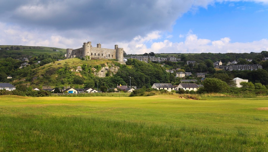 Royal St David’s