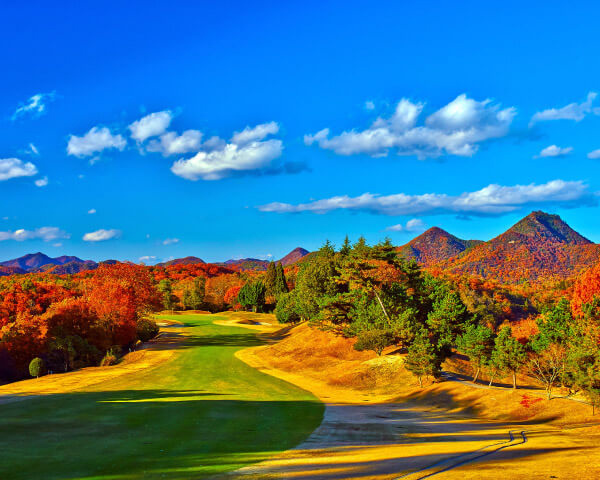Sengari G.C Club