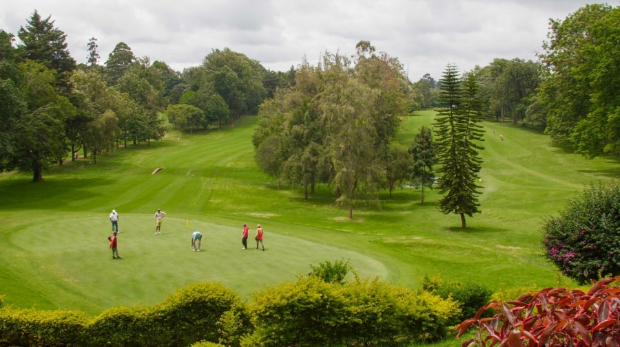 Sigona GC
