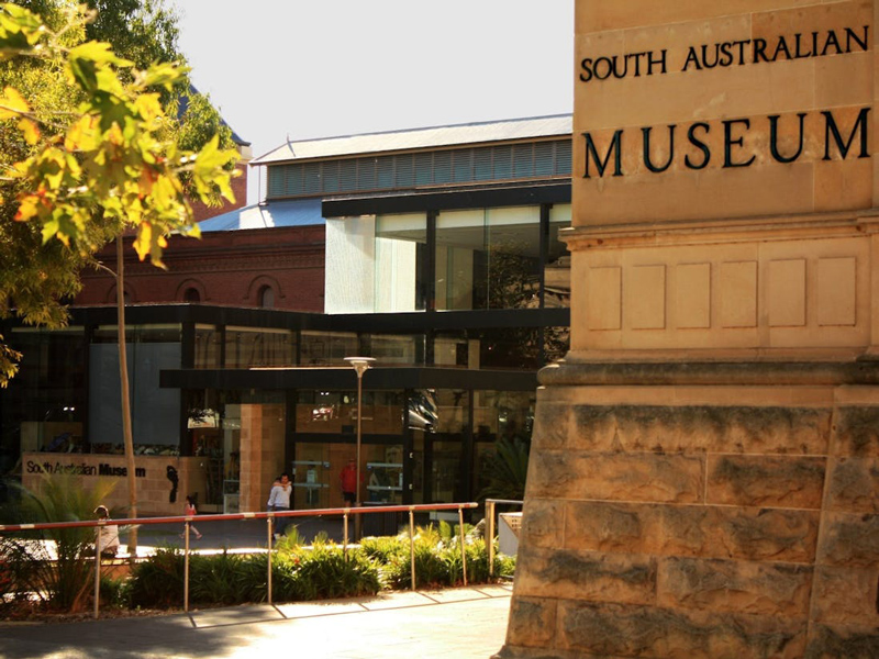 Bảo tàng Nam Úc (South Australian Museum)