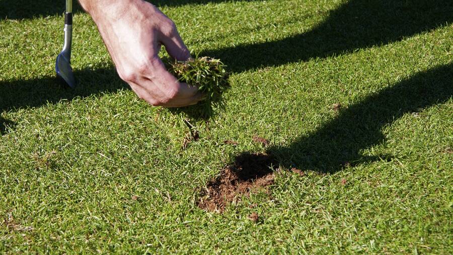 Sửa divot