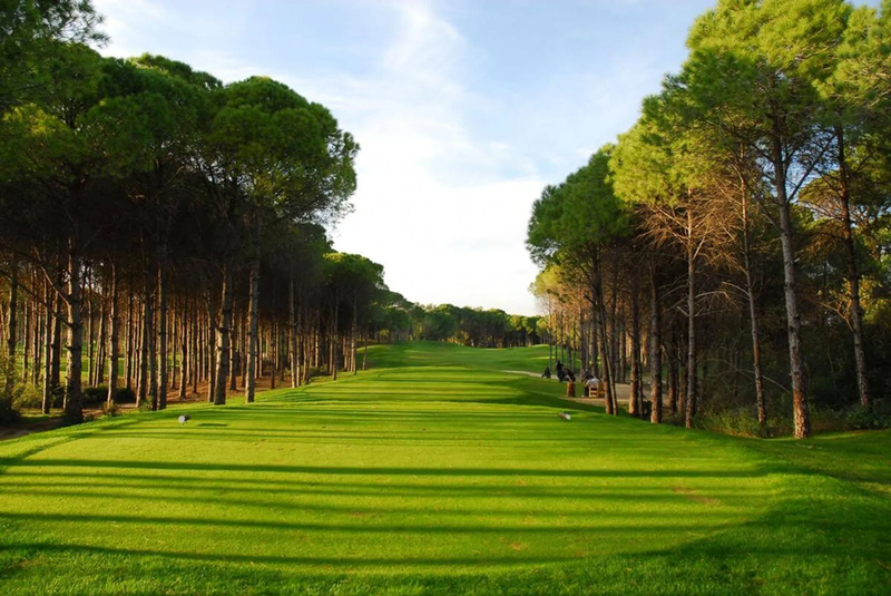 Sueno Pines Course
