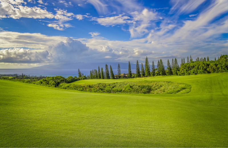 The Plantation Course at Kapalua Golf Resort