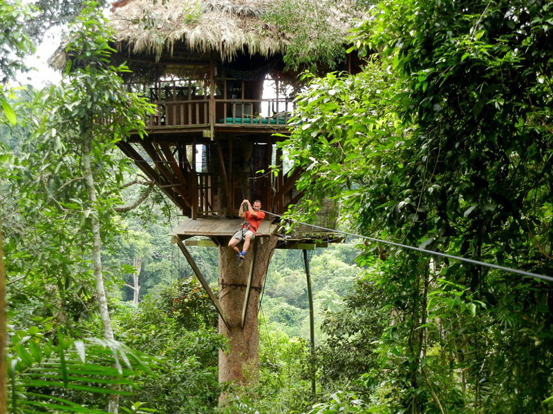 Chơi Zipline tại khu bảo tồn tự nhiên Bokeo