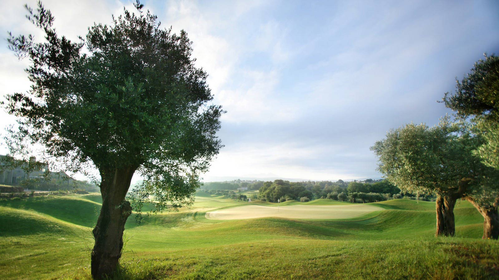 Olive Grove Golf Course (Sân golf Olive Grove) Du lịch golf tour