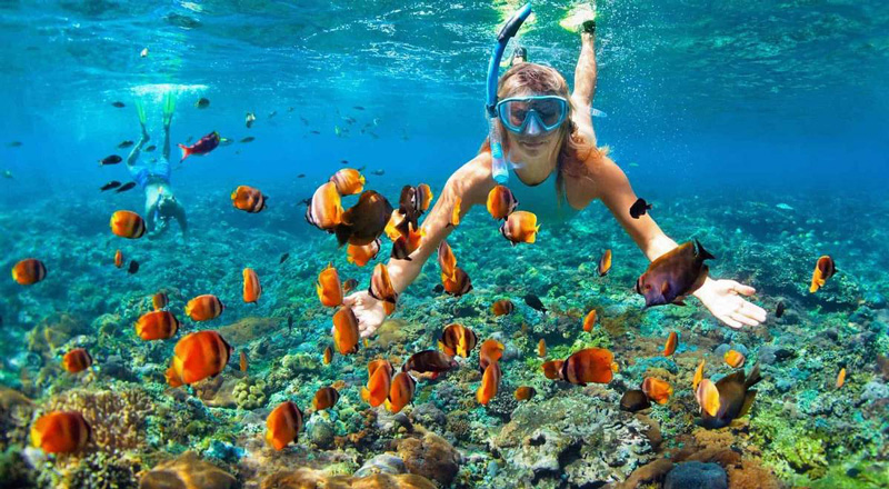 Phu Quoc snorkeling