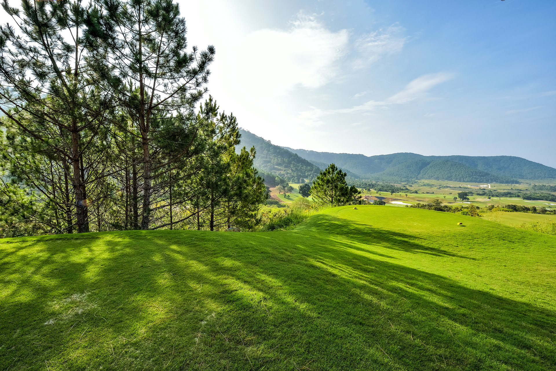 The Dàlat at 1200 Country Club