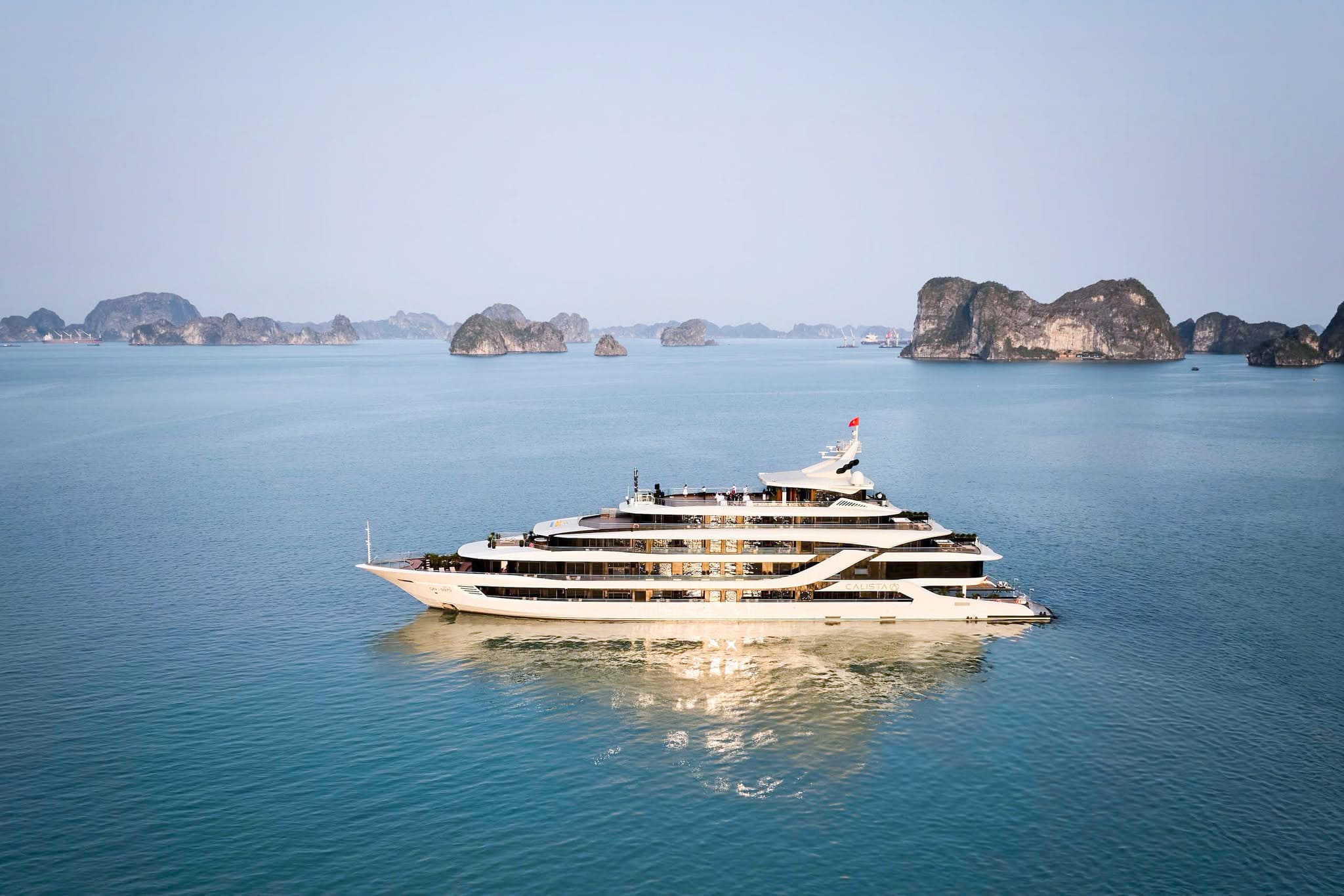 Calista Cruise