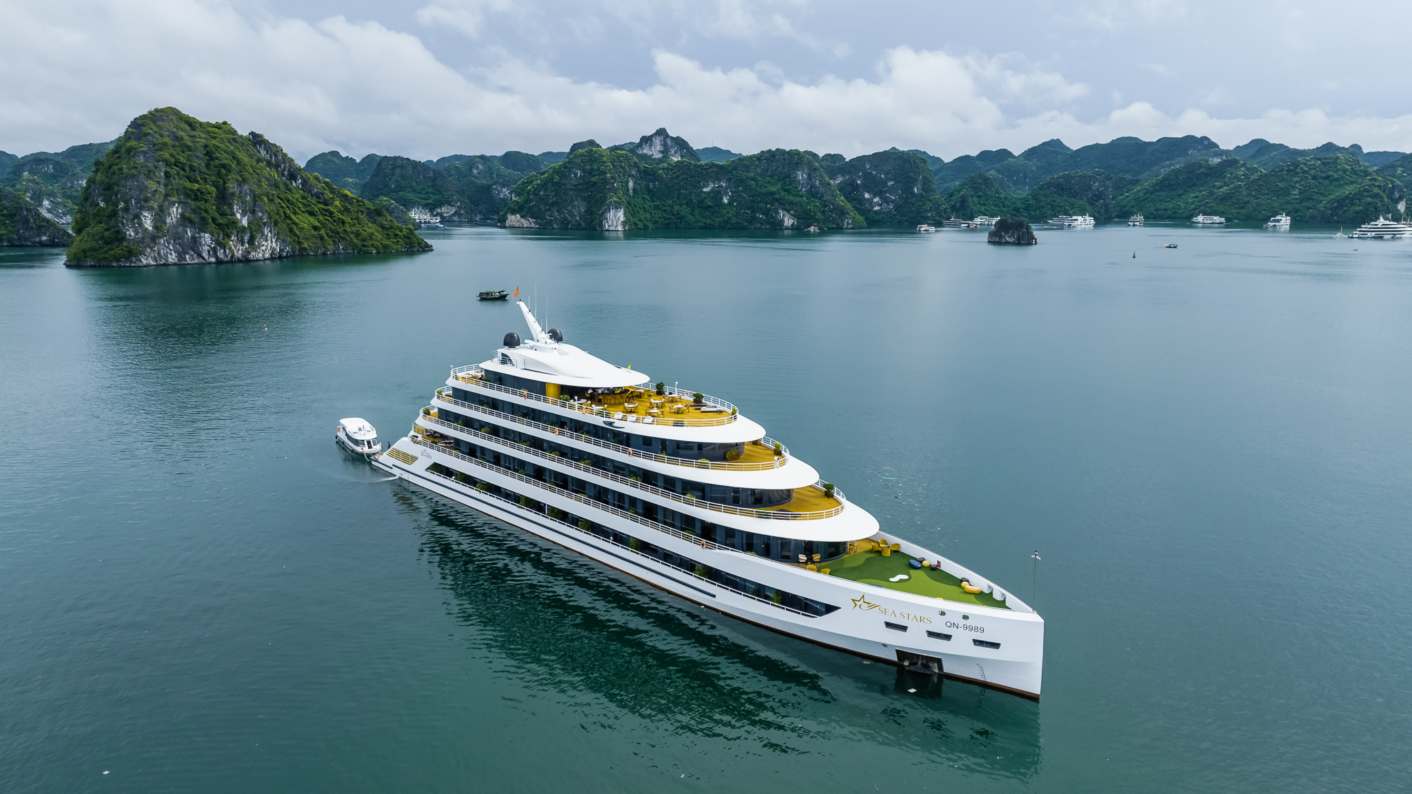 Sea Star Cruise