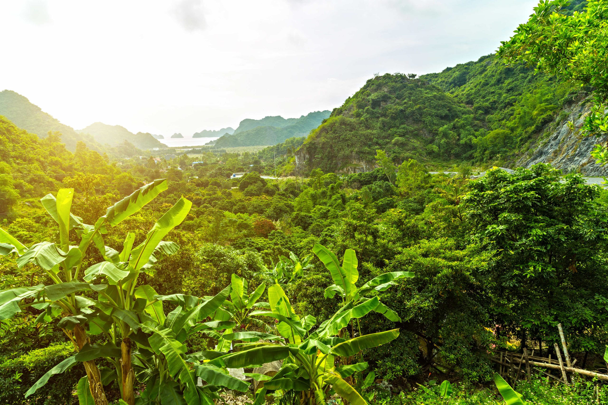 Cat Ba National Park