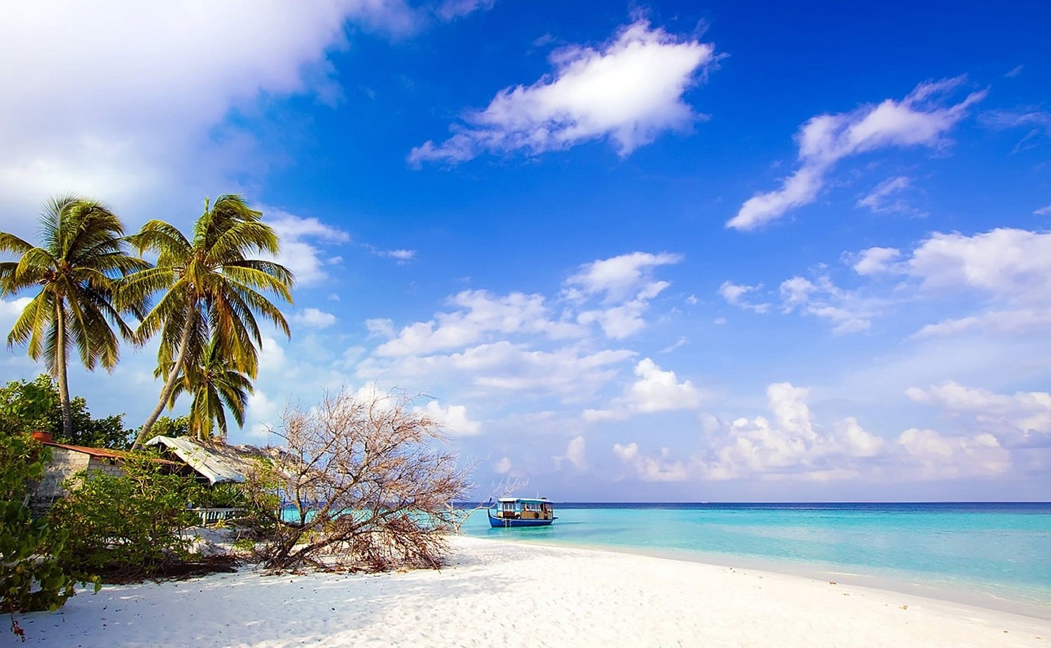 Long Beach (Bai Truong)