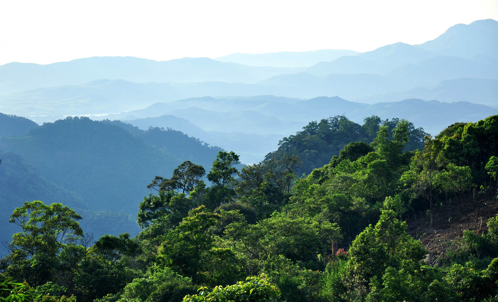 Pu Mat National Park