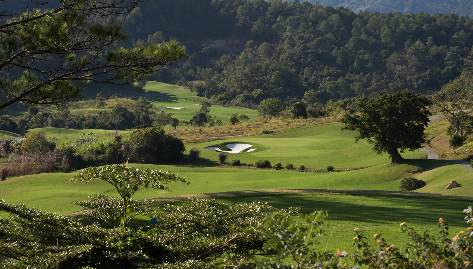 The Dalat At 1200
