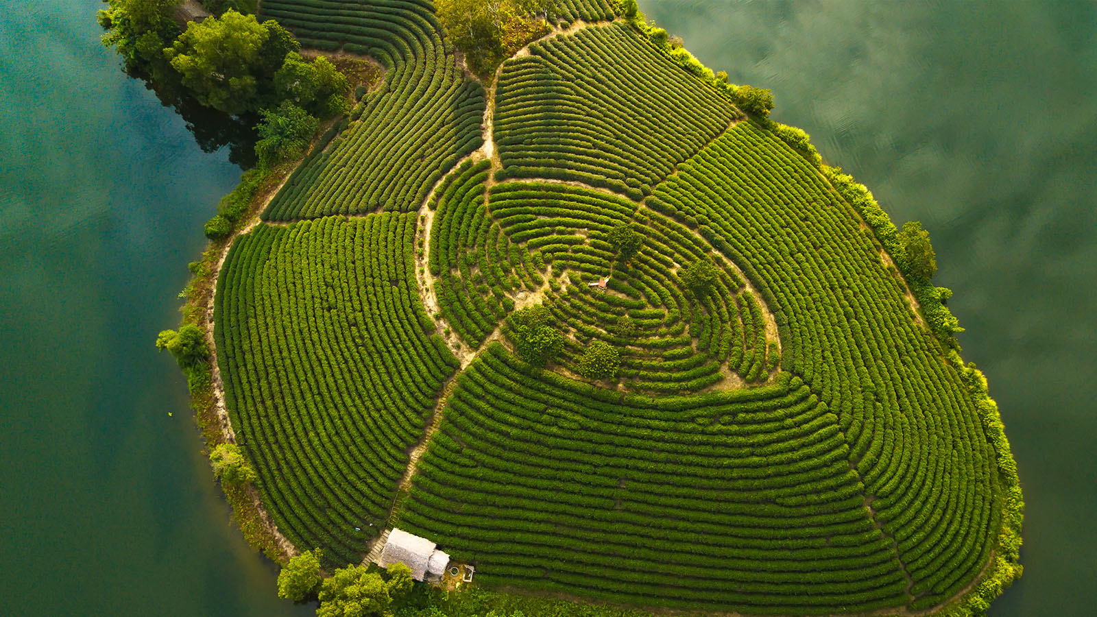 Thanh Chuong Tea Island