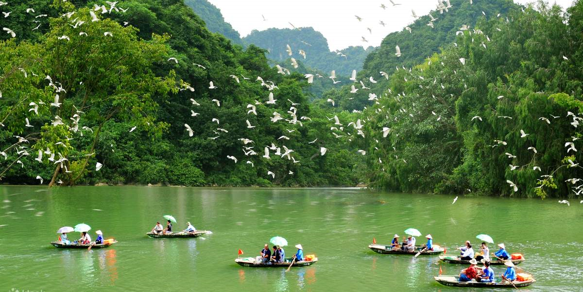 Thung Nham Bird Park & Ecotourism Area