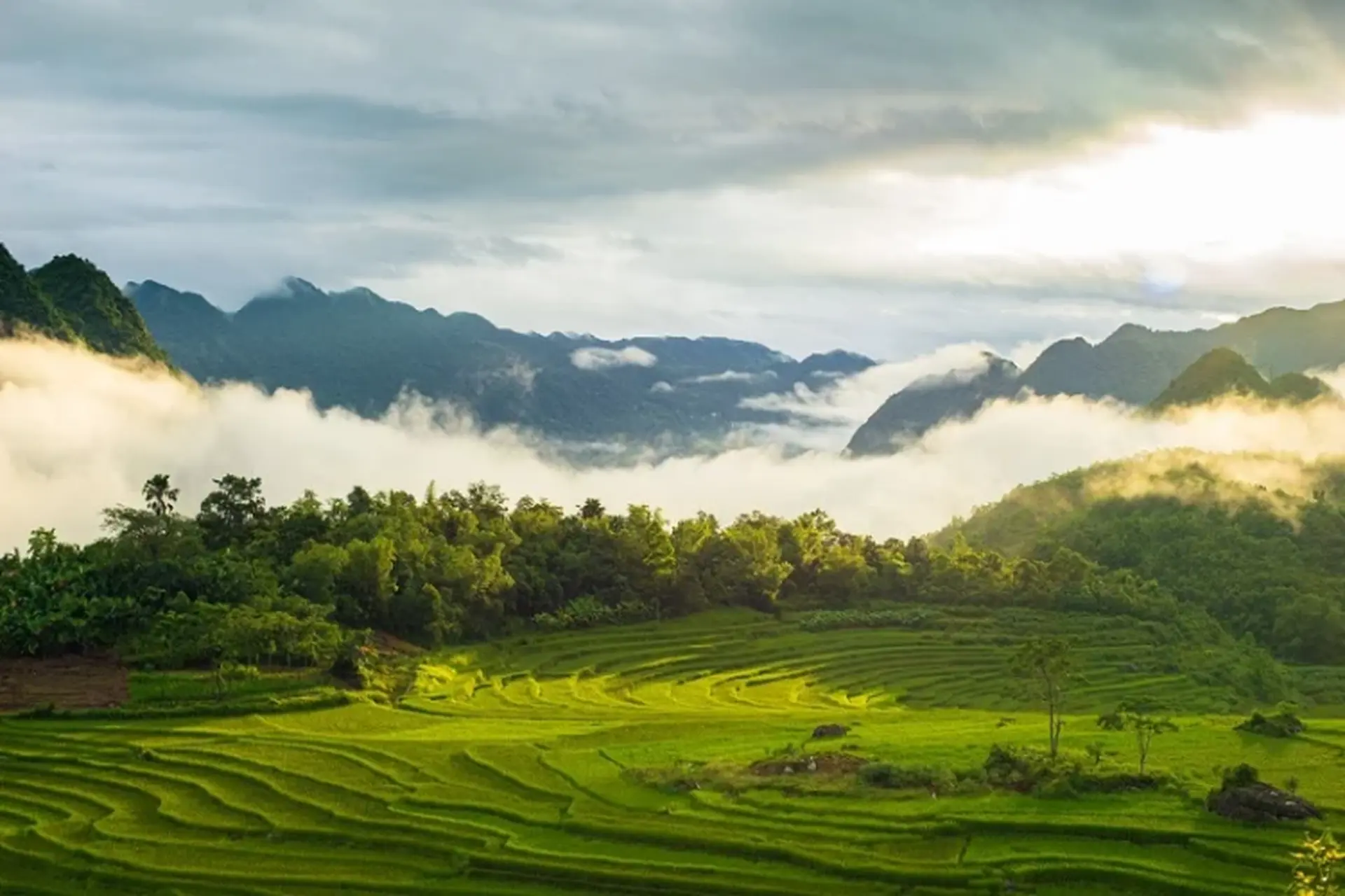Pu Luong Nature Reserve