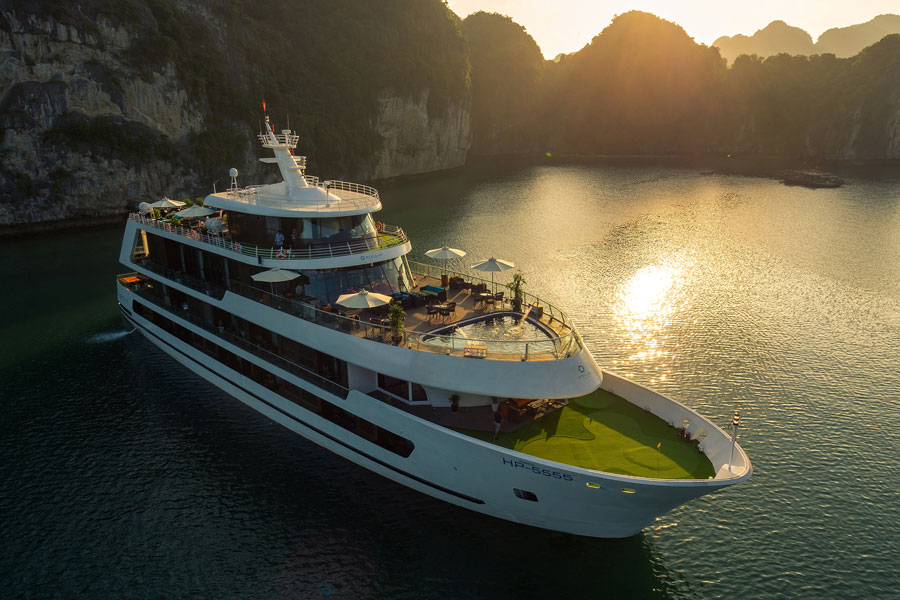 Stellar of the Seas
